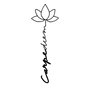 Wallity Carpe Diem 4